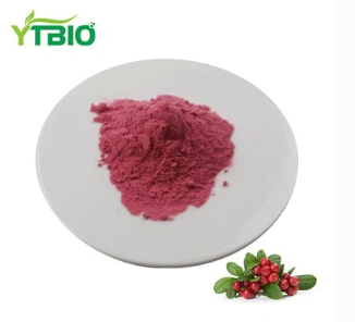 Best Cranberry Powder